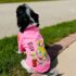 POLERA NICK - Ropa para perros y gatos
