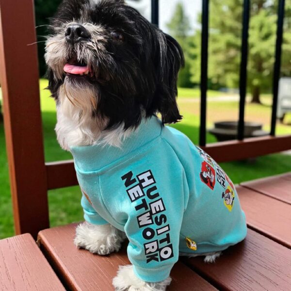 POLERAS CARTOON - Ropa para perros y gatos