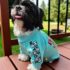 POLERAS CARTOON - Ropa para perros y gatos