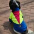POLERA RETRO COMBI STYLE - Ropa para perros y gatos