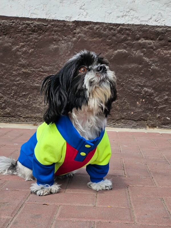 POLERA RETRO COMBI STYLE - Ropa para perros y gatos