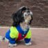 POLERA RETRO COMBI STYLE - Ropa para perros y gatos