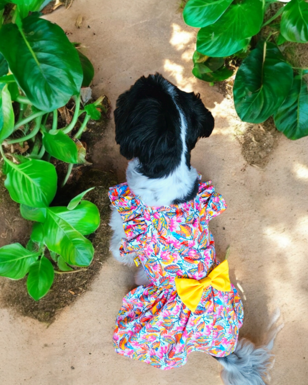 20260110_182725 (2) VESTIDO TROPICAL POP - Ropa para perros y gatos
