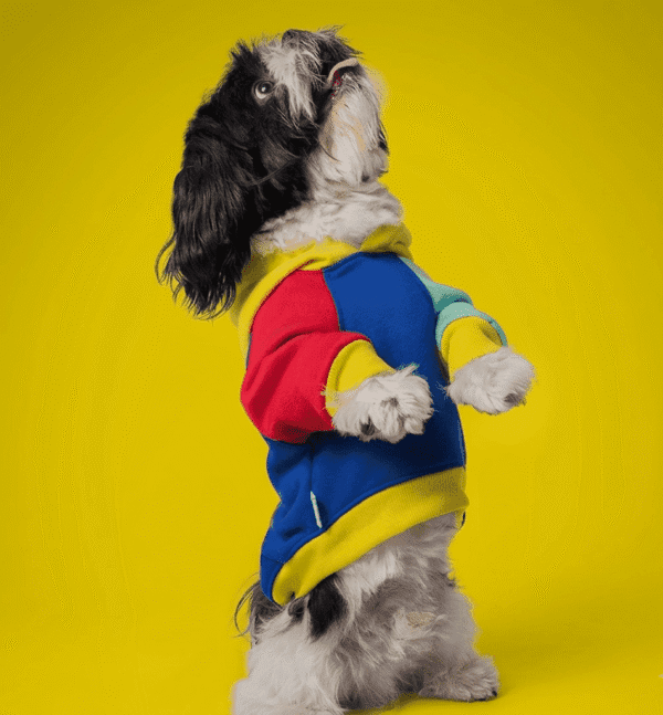 POLERA TRICOLOR AZUL - Ropa para perros y gatos