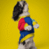 POLERA TRICOLOR AZUL - Ropa para perros y gatos
