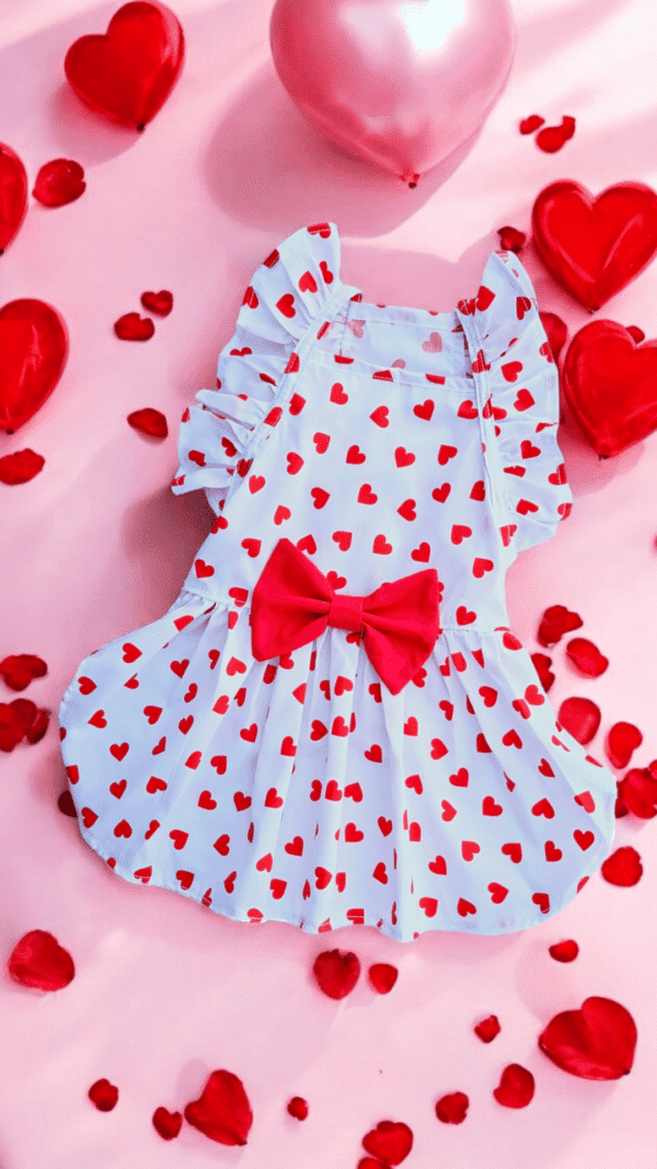 VESTIDO CORAZONES - Ropa para perros y gatos