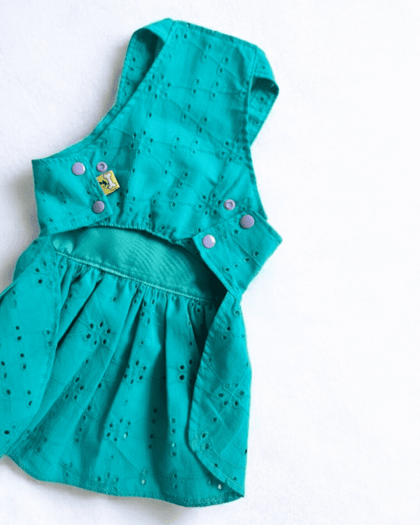 VESTIDO BRODERIE TURQUESA - Ropa para perros y gatos
