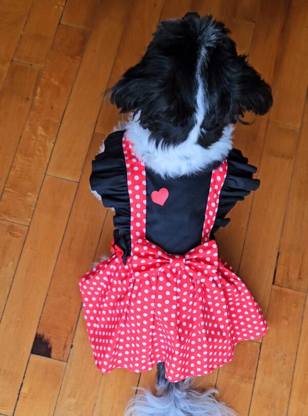 WhatsApp Image 2026-01-26 at 9.47.38 PM (1) VESTIDOS M&M SAN VALENTÍN - Ropa para perros y gatos