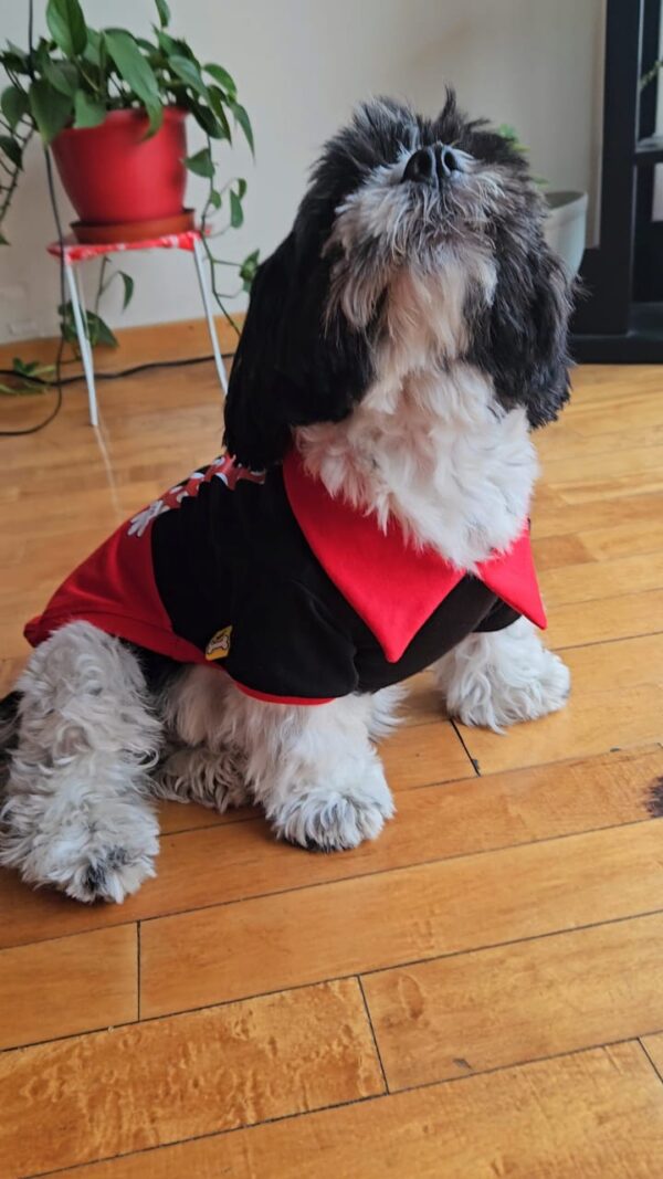POLO M&M SAN VALENTIN - Ropa para perros y gatos