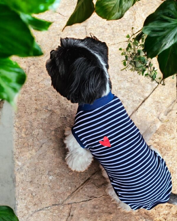 POLOS RAYAS - Ropa para perros y gatos