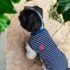 POLOS RAYAS - Ropa para perros y gatos