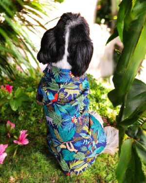 CAMISA SELVA TROPICAL - Ropa para perros y gatos