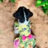 VESTIDO BRODERIE FLOR TROPICAL - Ropa para perros y gatos