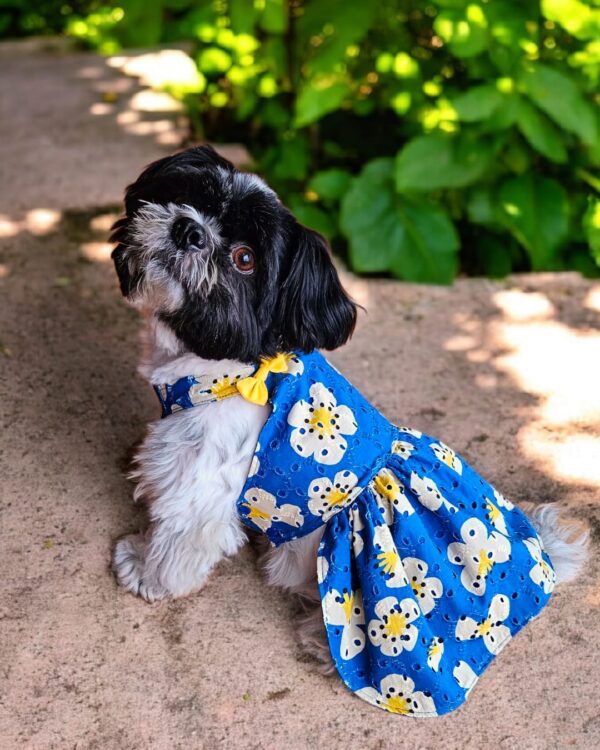 VESTIDO BRODERIE MARGARITA - Ropa para perros y gatos
