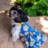 VESTIDO BRODERIE MARGARITA - Ropa para perros y gatos