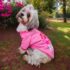 WhatsApp Image 2026-04-05 at 6.06.01 PM (1) POLERA DOG MOM - Ropa para perros y gatos
