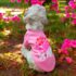 WhatsApp Image 2026-04-05 at 6.06.01 PM (3) POLERA DOG MOM - Ropa para perros y gatos