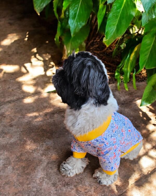 WhatsApp Image 2026-04-05 at 9.59.27 PM POLOS DISEÑOS - Ropa para perros y gatos