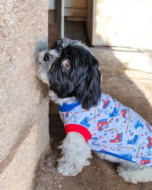 POLOS PATINES - Ropa para perros y gatos