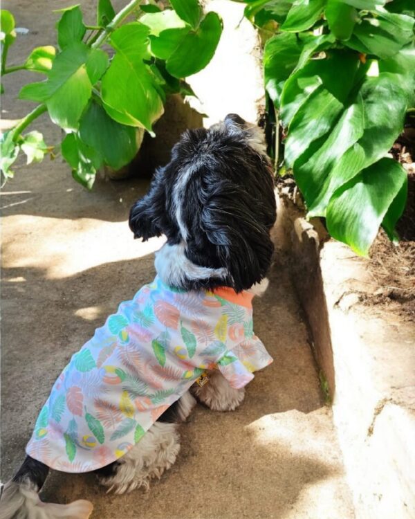 WhatsApp Image 2026-04-05 at 9.59.29 PM (1) POLOS PALMERAS BOBOS - Ropa para perros y gatos