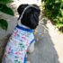 POLOS PALMERAS - Ropa para perros y gatos