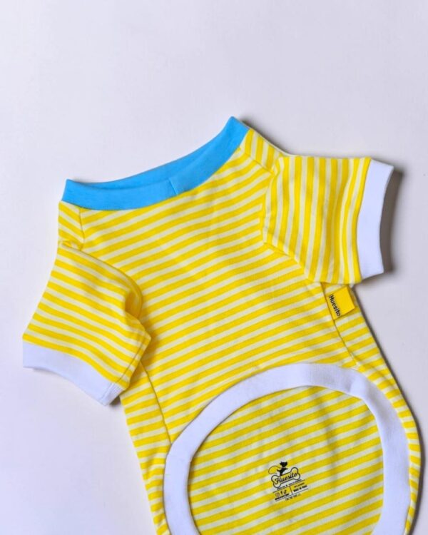 WhatsApp Image 2026-04-07 at 9.59.33 PM POLOS RAYAS AMARILLO - Ropa para perros y gatos