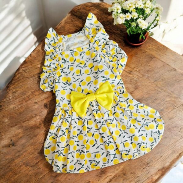 VESTIDOS LEMON - Ropa para perros y gatos
