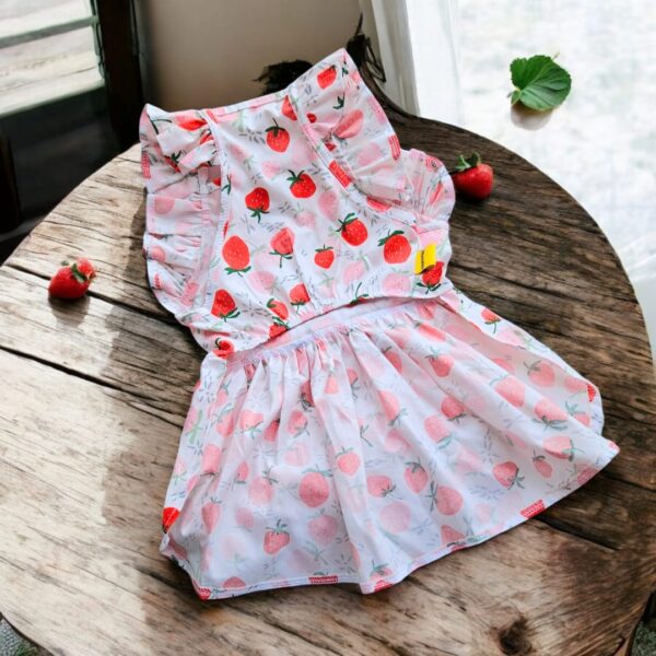 VESTIDOS FRESAS VERANO - Ropa para perros y gatos