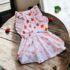 VESTIDOS FRESAS VERANO - Ropa para perros y gatos