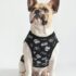 WhatsApp Image 2026-05-04 at 3.01.39 AM POLOS STAR WARS - Ropa para perros y gatos