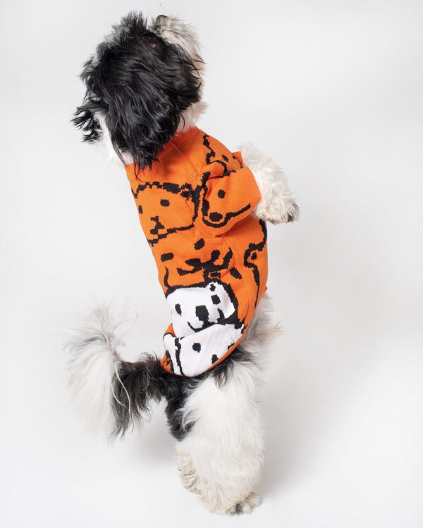 CHOMPA OSO - Ropa para perros y gatos