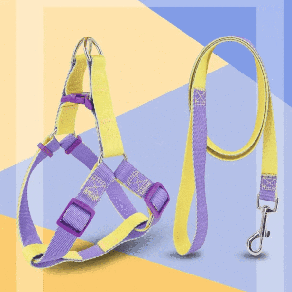 ARNÉS DUAL + CORREA - Accesorios para perros
