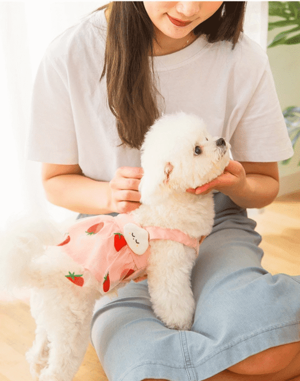 Diseño sin título (1) VESTIDO FRESITA TUTU - Ropa para perros y gatos