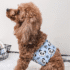 PAÑALES REUTILIZABLES PARA MASCOTAS
