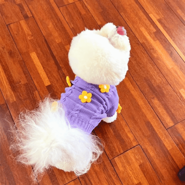 Diseño sin título (16) CHOMPA LILA FLORES - Ropa para perros y gatos