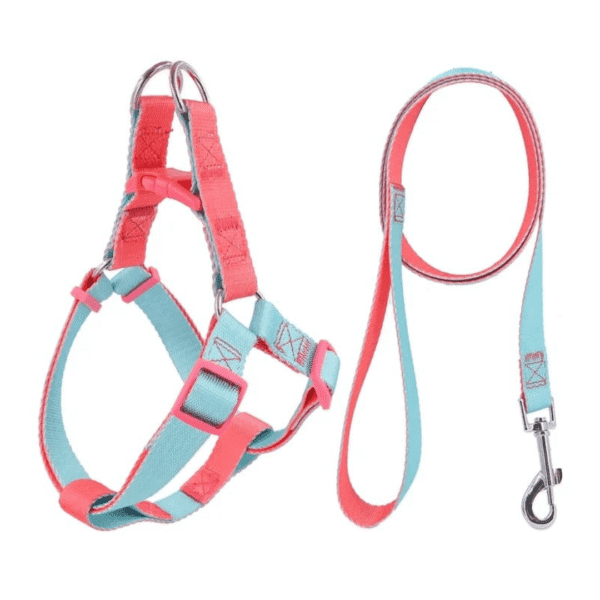 ARNÉS DUAL + CORREA - Accesorios para perros