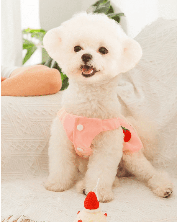 Diseño sin título (2) VESTIDO FRESITA TUTU - Ropa para perros y gatos