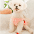 Diseño sin título (2) VESTIDO FRESITA TUTU - Ropa para perros y gatos