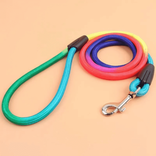 Diseño sin título (22) PECHERA + CORREA - Accesorios para perros