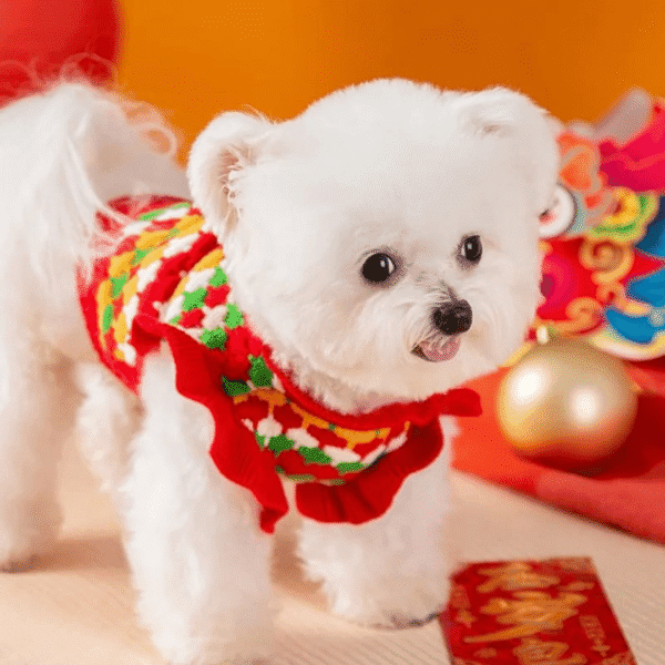 CHOMPA FLOR ROJA - Ropa para perros y gatos