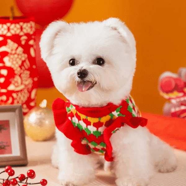 CHOMPA FLOR ROJA - Ropa para perros y gatos