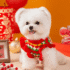 CHOMPA FLOR ROJA - Ropa para perros y gatos