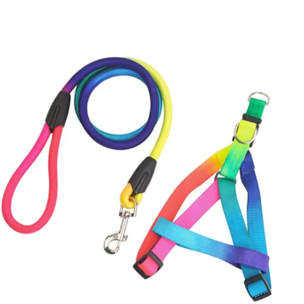 Diseño sin título (23) PECHERA + CORREA - Accesorios para perros