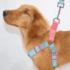 ARNÉS DUAL + CORREA - Accesorios para perros