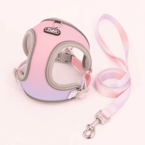 PECHERA DUAL + CORREA - Accesorios para perros
