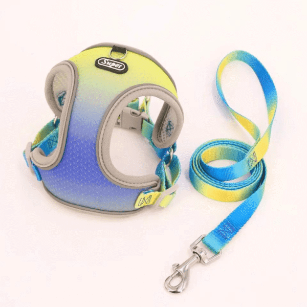 Diseño sin título (31) PECHERA DUAL + CORREA - Accesorios para perros