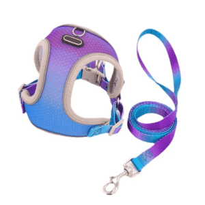 PECHERA DUAL + CORREA - Accesorios para perros