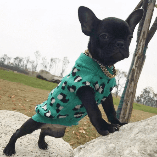 CHOMPA ANIMAL PRINT - Ropa para perros y gatos