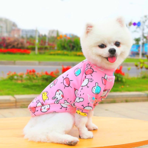 Diseño sin título (40) POLERA GATITOS - Ropa para perros y gatos