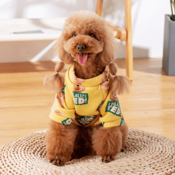 POLERA TED - Ropa para perros y gatos